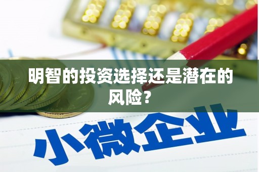 卓资明智的投资选择还是潜在的风险？
