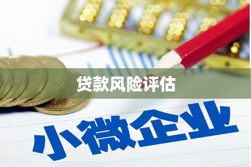 卓资贷款风险评估