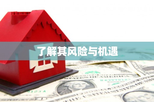 卓资了解其风险与机遇