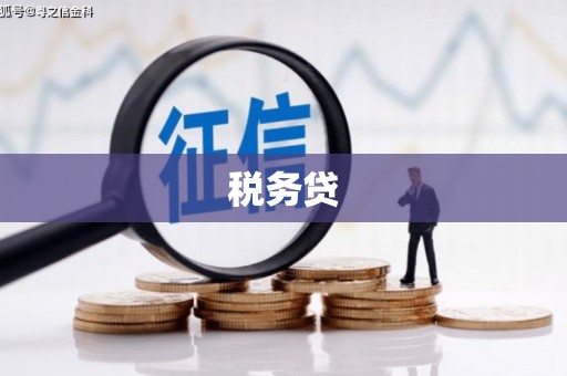 卓资税务贷