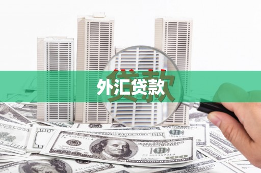 卓资外汇贷款