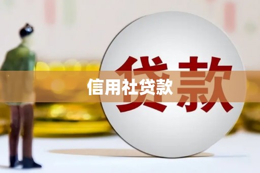 卓资信用社贷款