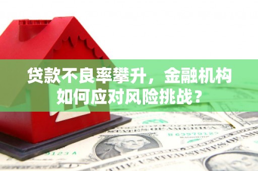 卓资贷款不良率攀升，金融机构如何应对风险挑战？