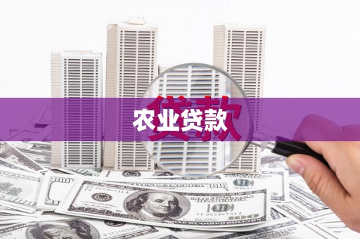 卓资农业贷款