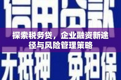 卓资探索税务贷，企业融资新途径与风险管理策略