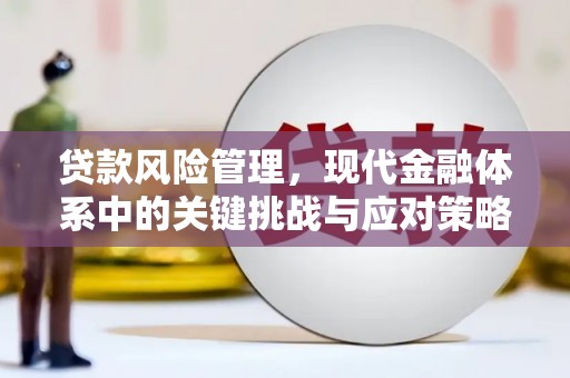 卓资贷款风险管理，现代金融体系中的关键挑战与应对策略