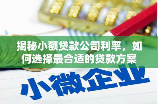 卓资揭秘小额贷款公司利率，如何选择最合适的贷款方案