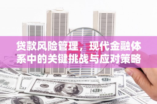 卓资贷款风险管理，现代金融体系中的关键挑战与应对策略