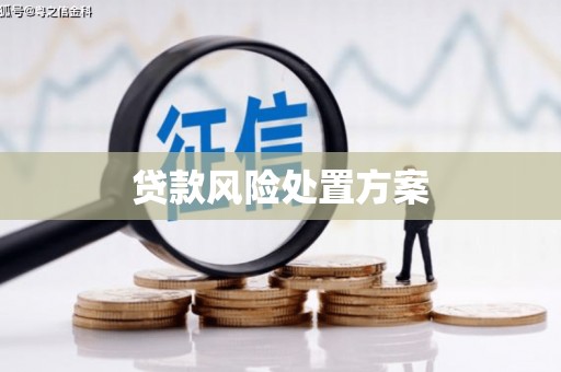 卓资贷款风险处置方案